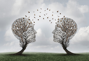 strategie-communication-caen-schuller-graphic
